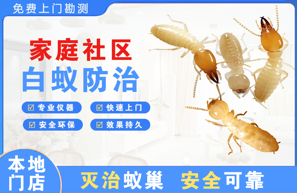 临海家庭社区白蚁防治