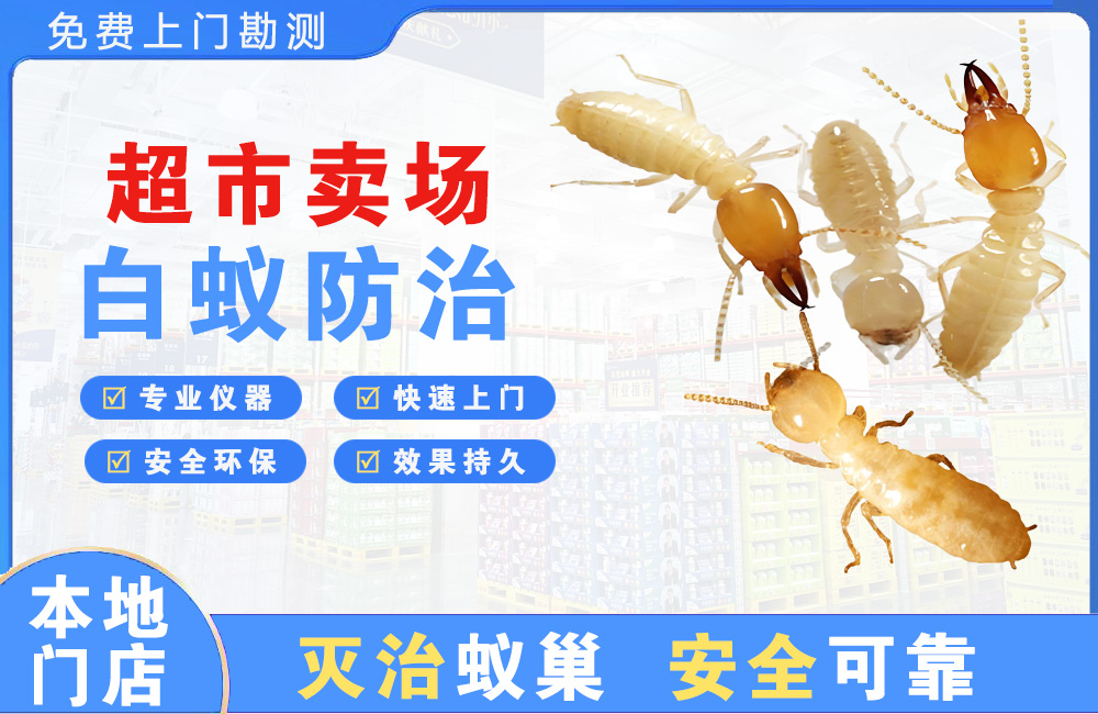 临海超市卖场白蚁防治