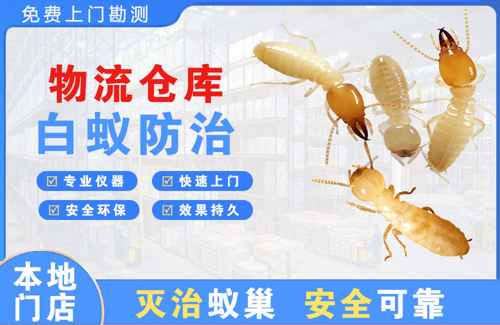 临海物流仓库白蚁防治