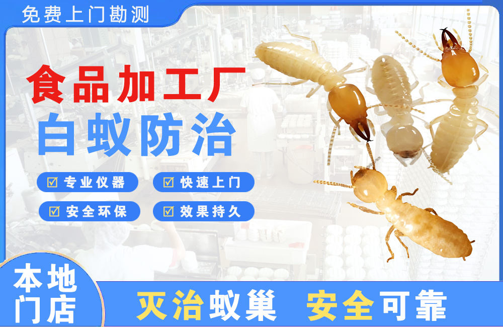 临海食品加工厂白蚁防治