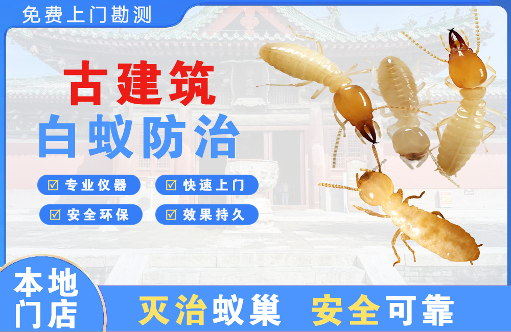 临海古建筑白蚁防治