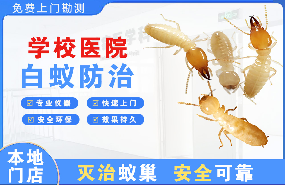 临海学校医院白蚁防治
