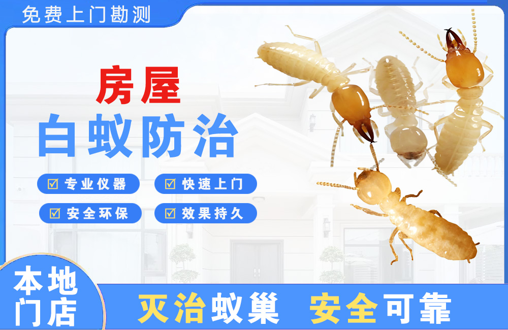 临海房屋白蚁防治