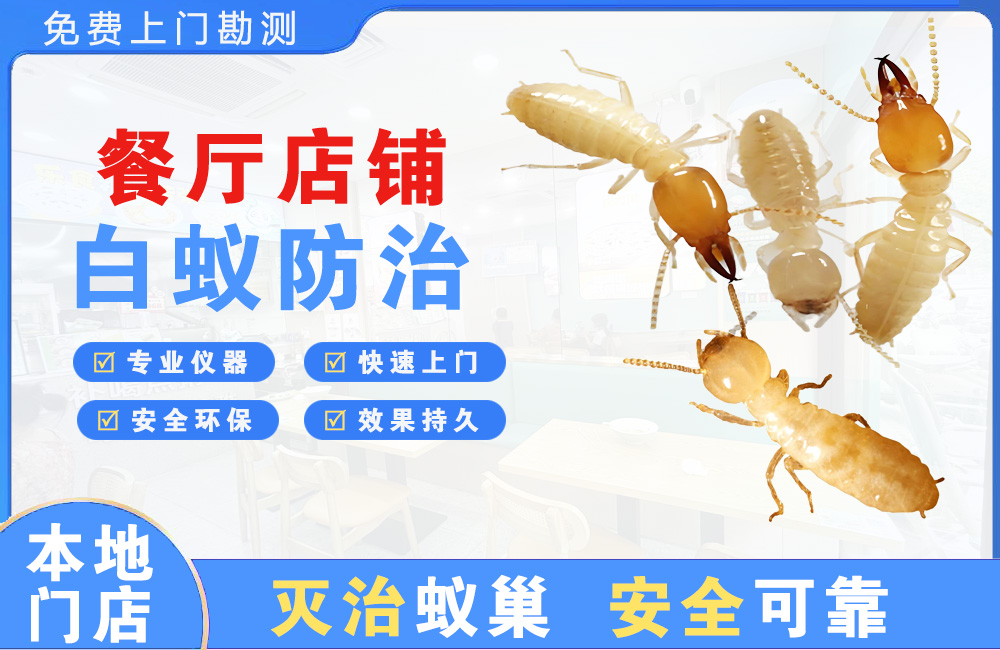 临海餐厅店铺白蚁防治